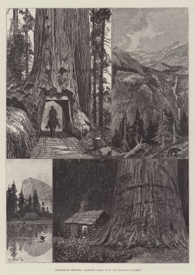 Californische Schetsen, Mammoetbomen, Rots- en Berglandschap door Richard Caton Woodville junior